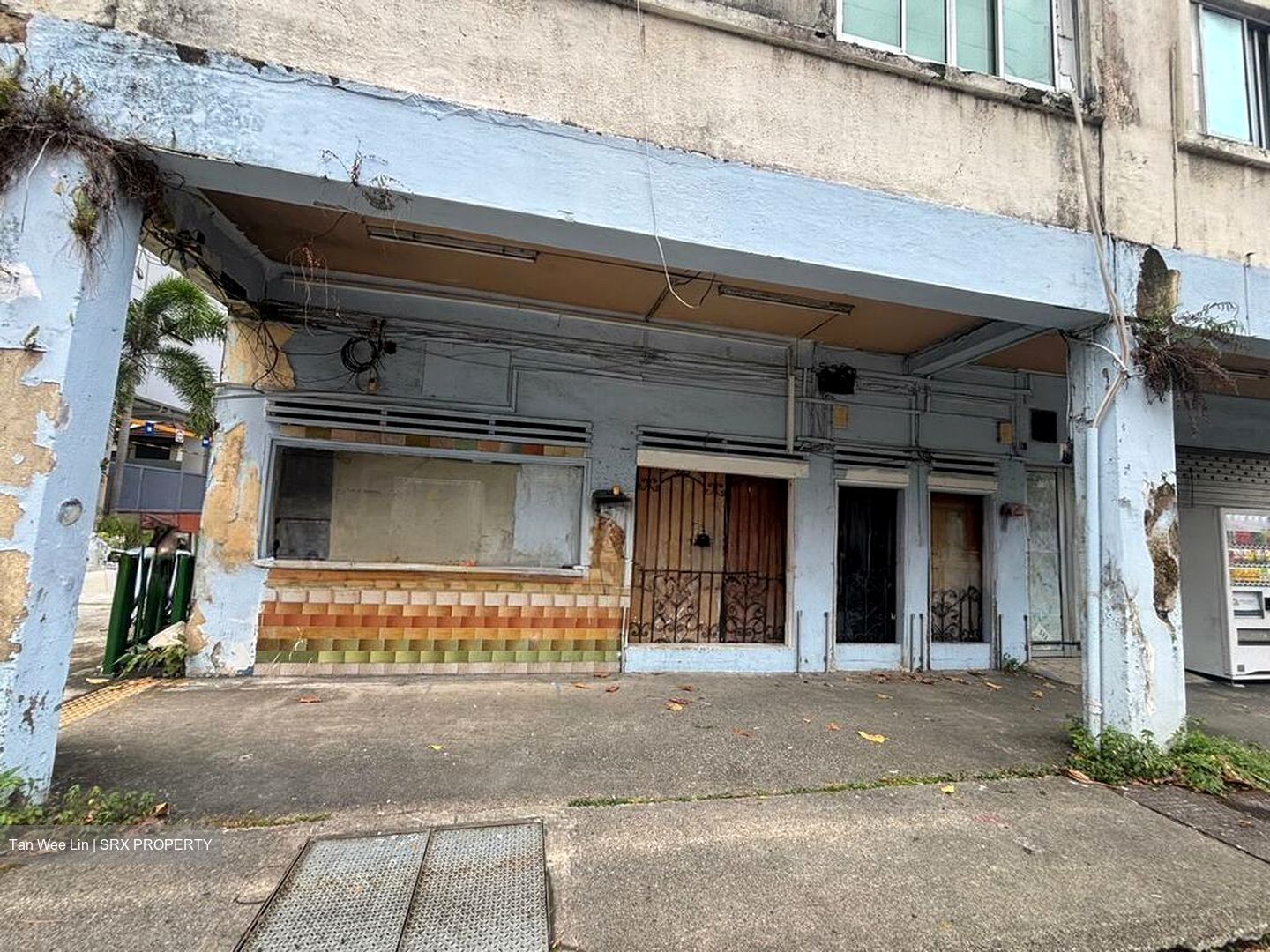 Sims Avenue (D14), Shop House #593635121